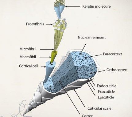 Inside MicroSeal Protectant